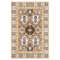 Velion Area Rug