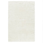 Shaggy Cream Area Rug