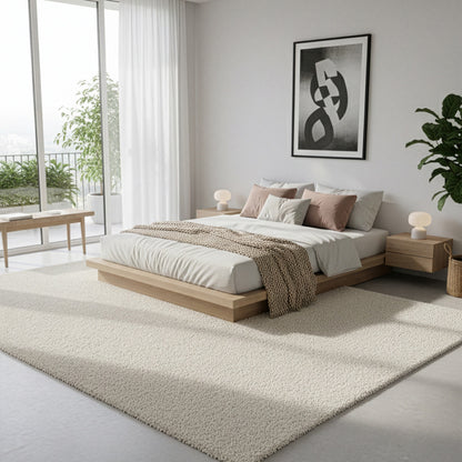 Shaggy Cream Area Rug