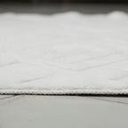 Patterned White Plush Area Rug