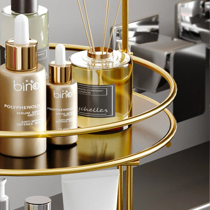 Gold Luxury Organizer