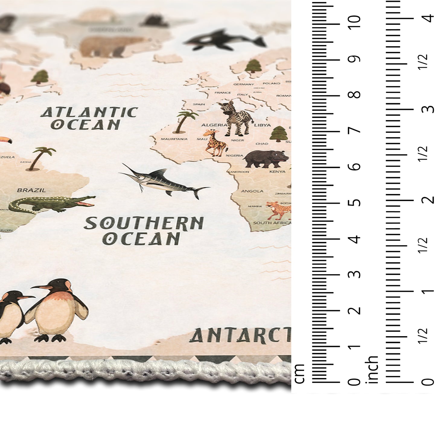 Animal Map Area Rug