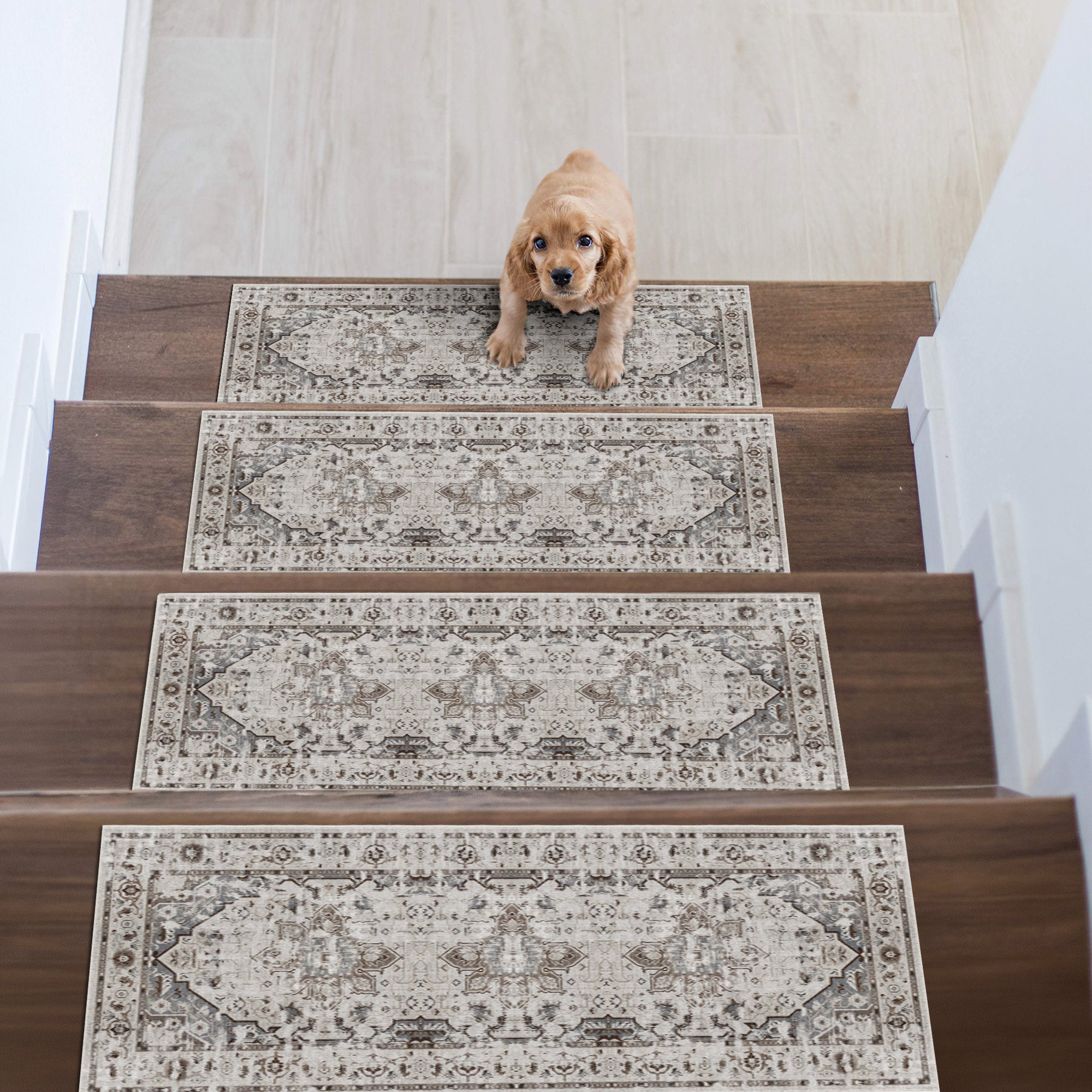 Safora Stair Treads Rug
