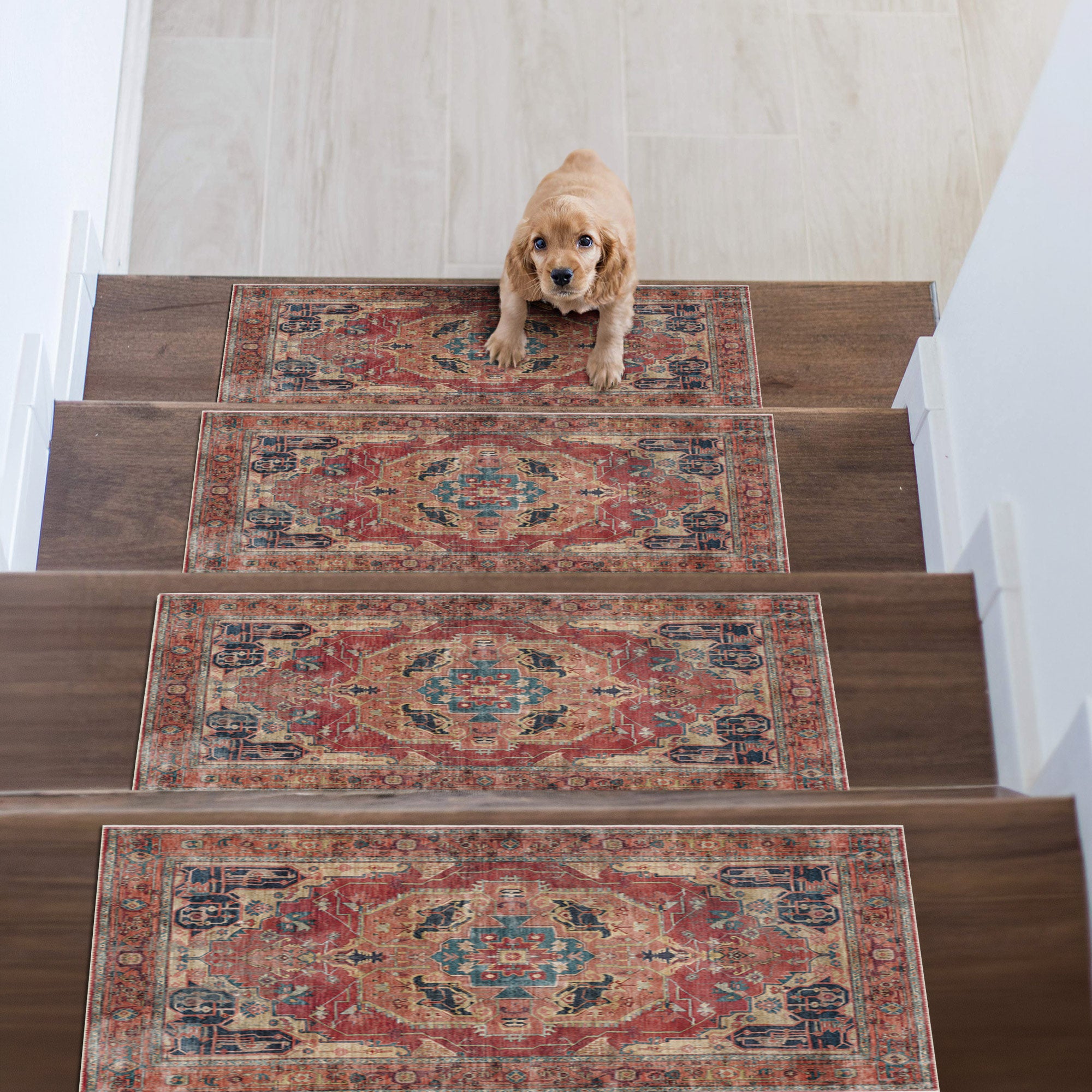 Gravix Stair Treads Rug
