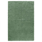 Shaggy Green Area Rug