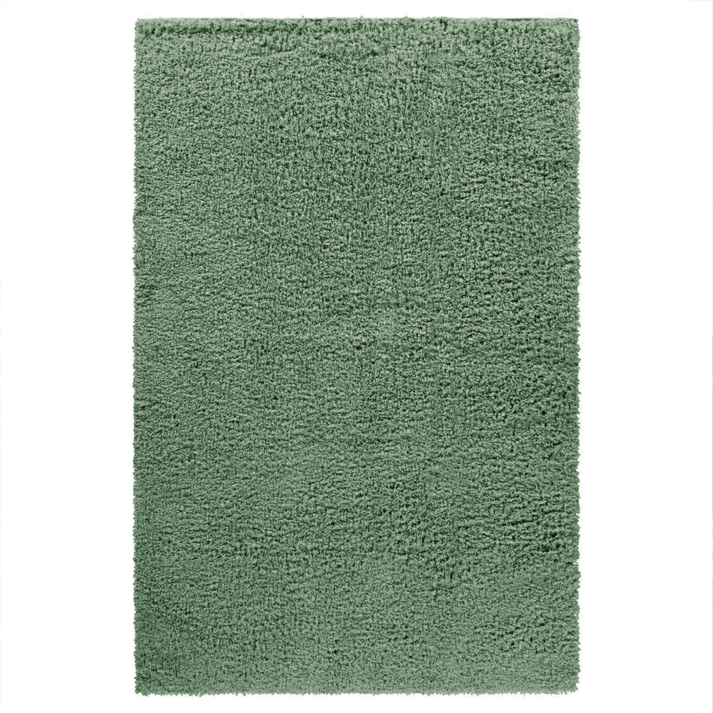 Shaggy Green Area Rug