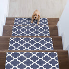 Stepxa Stair Treads Rug