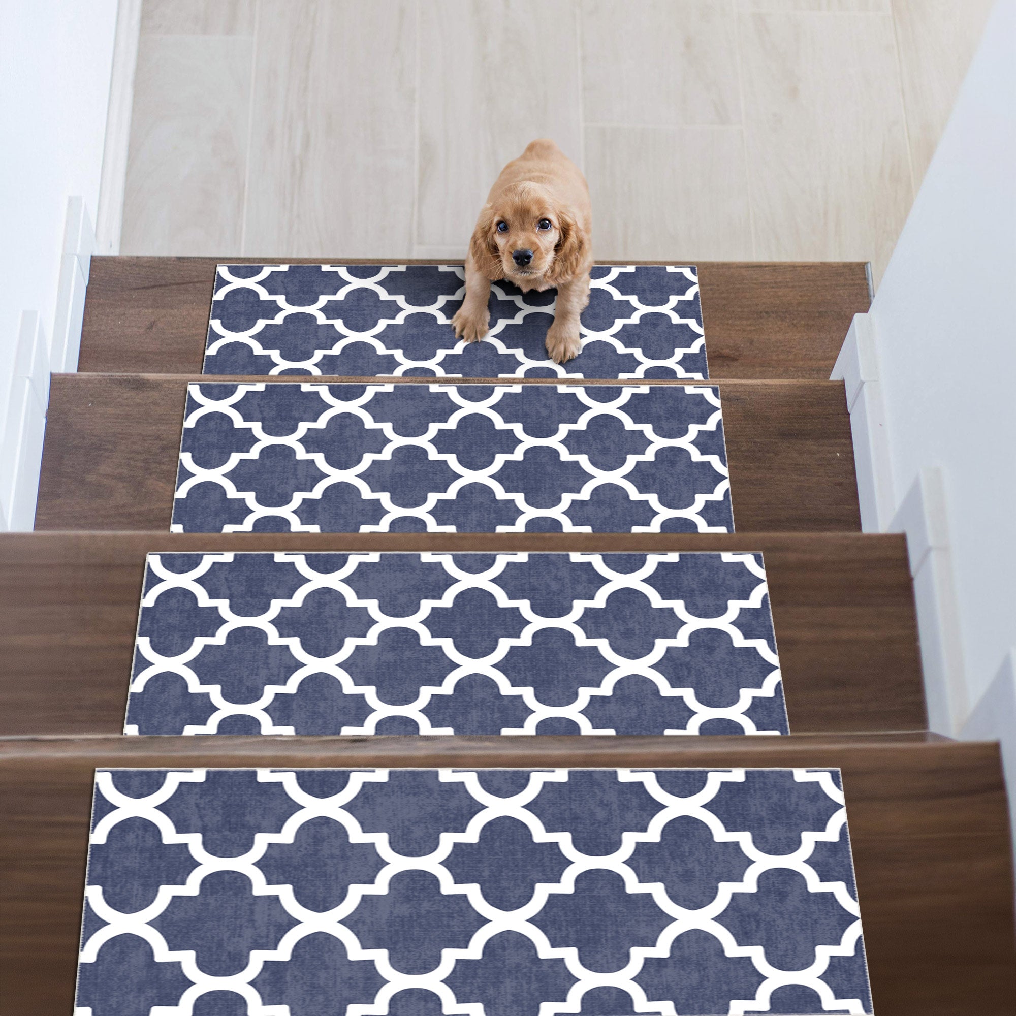 Stepxa Stair Treads Rug