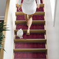 Trexa Stair Treads Rug