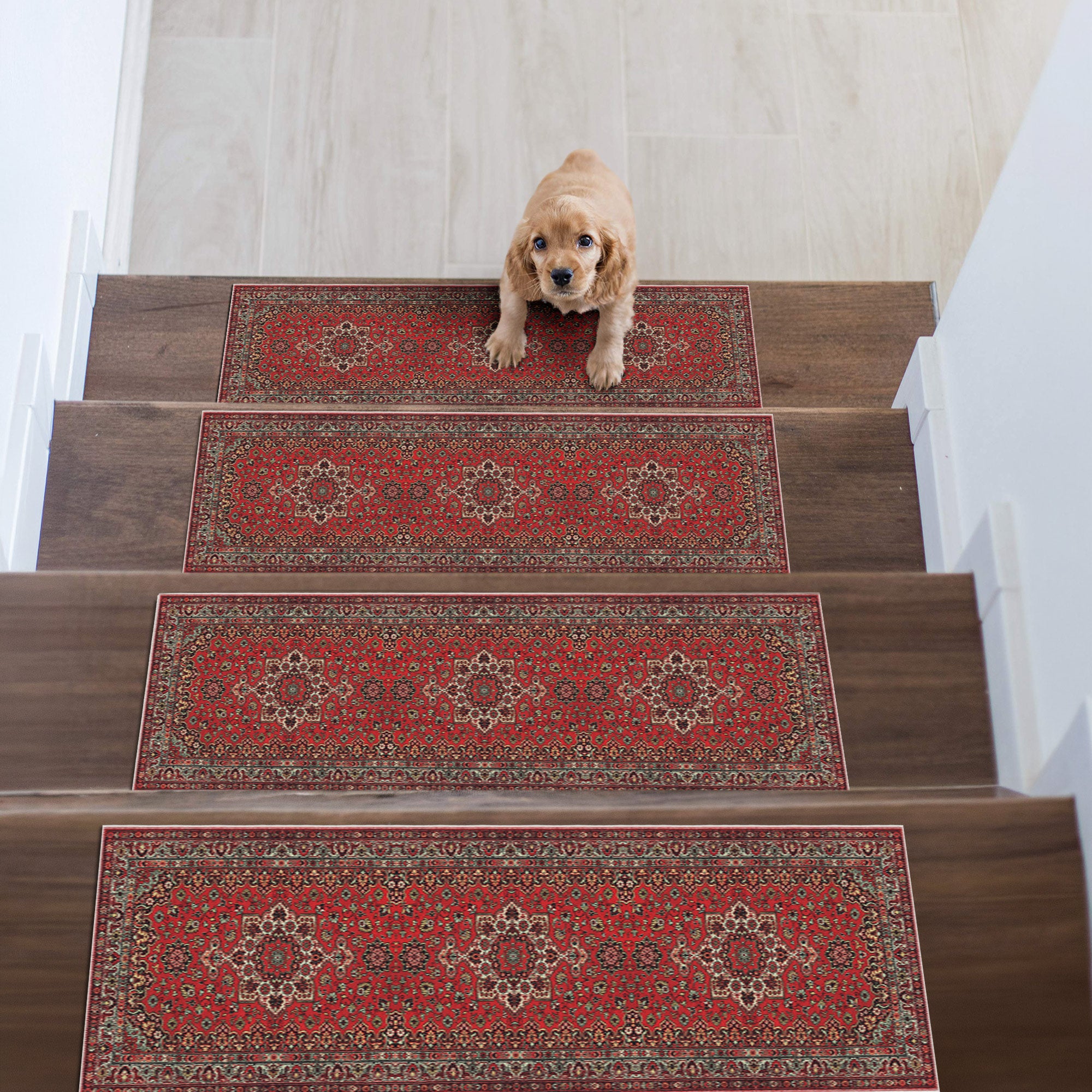 Zytrex Stair Treads Rug